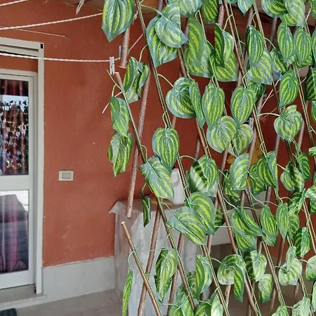 La Brocca