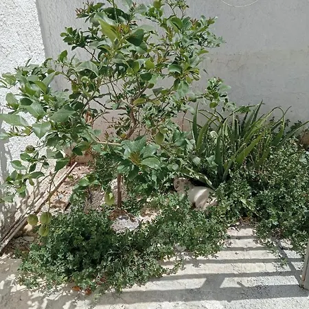 La Brocca Marsala